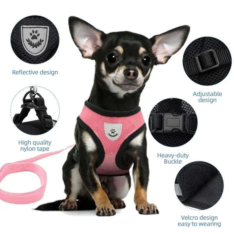 Adjustable Cat Harness