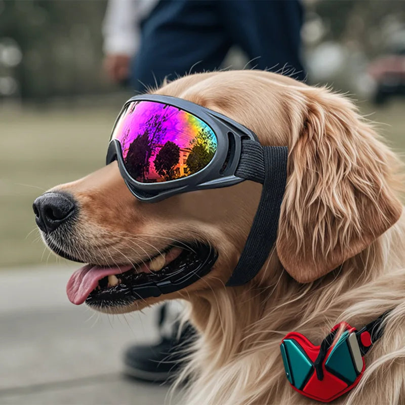 Adjustable Dog Sunglasses