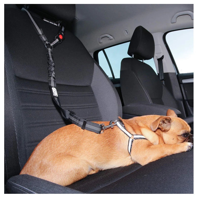 2 in 1 Solid Dog Car Safety Leash