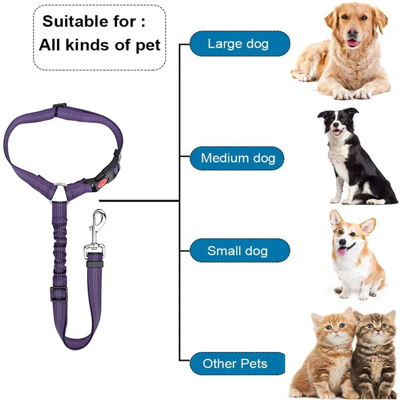 2 in 1 Solid Dog Car Safety Leash