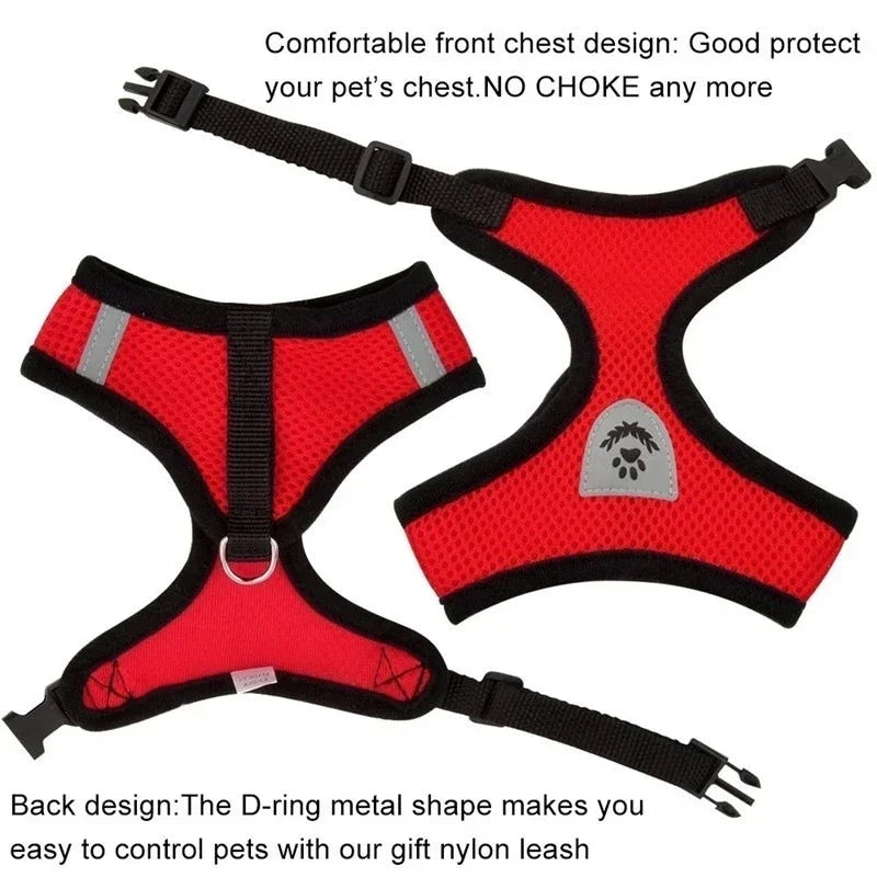 Adjustable Cat Harness