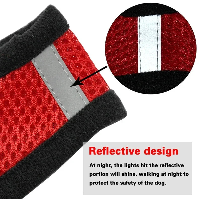 Adjustable Cat Harness