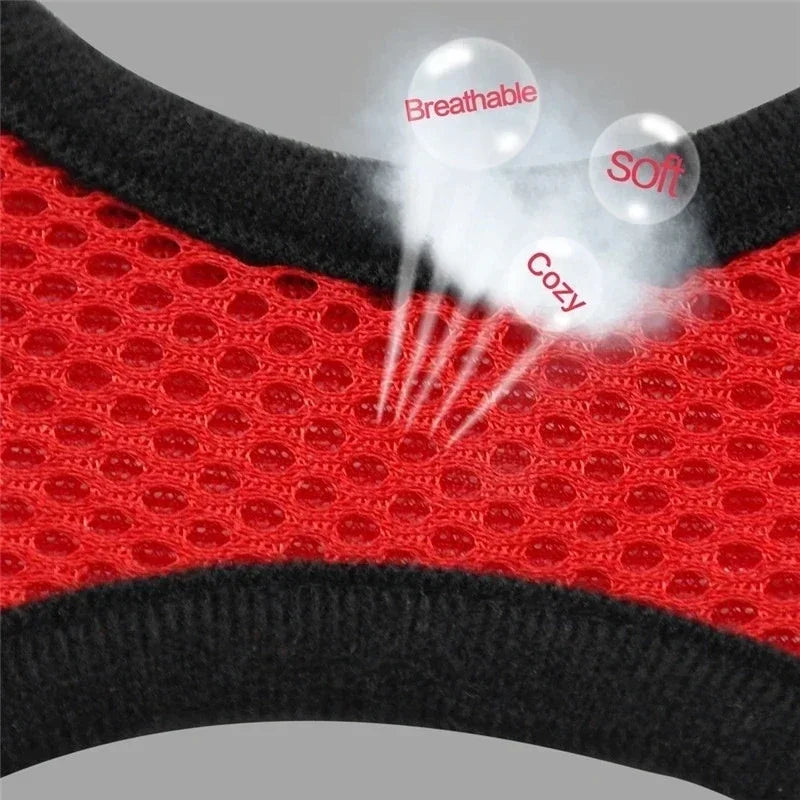 Adjustable Cat Harness