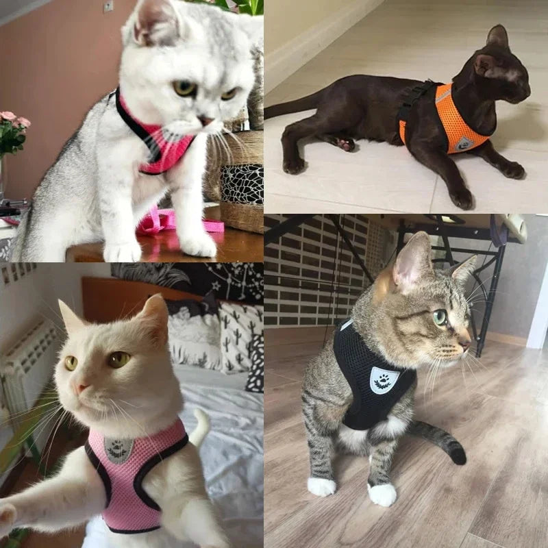 Adjustable Cat Harness
