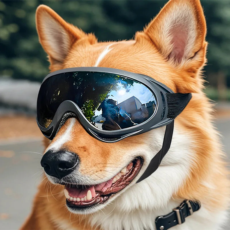 Adjustable Dog Sunglasses