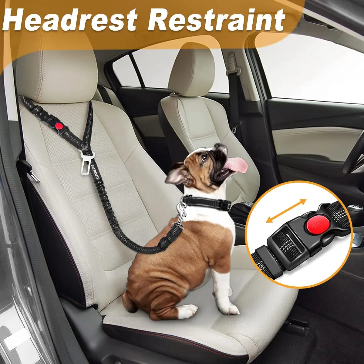 2 in 1 Solid Dog Car Safety Leash