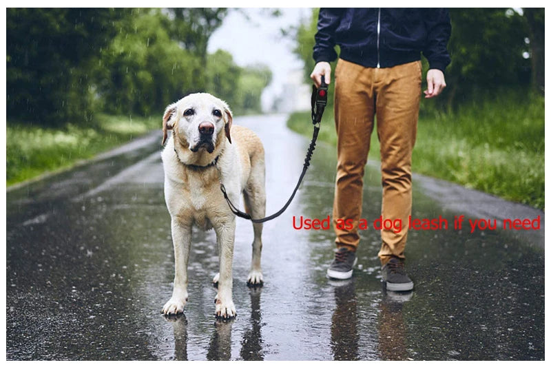 2 in 1 Solid Dog Car Safety Leash