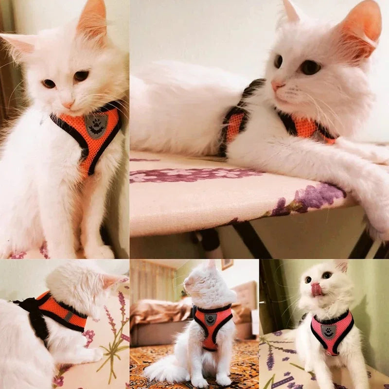 Adjustable Cat Harness