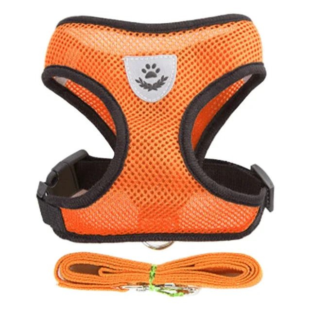 Adjustable Cat Harness