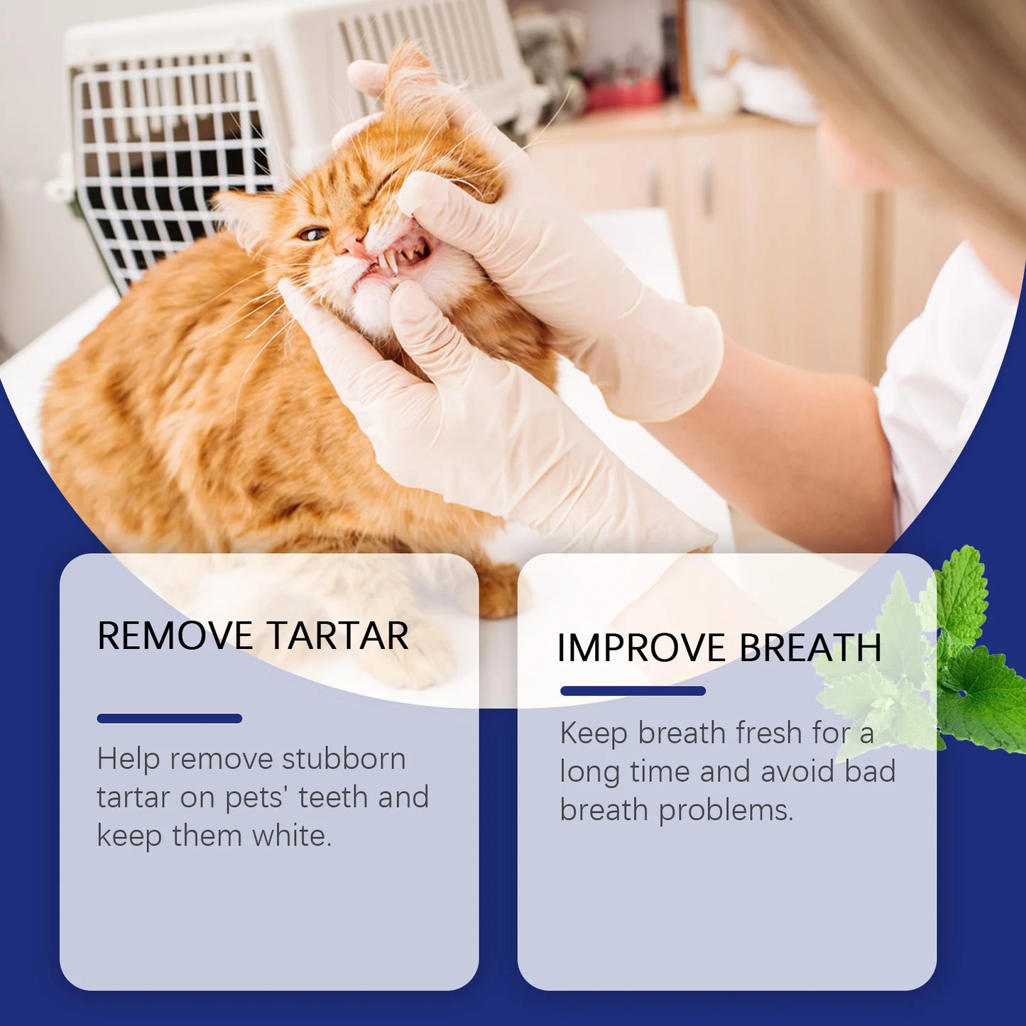 Pet Teeth Cleaning Powder
