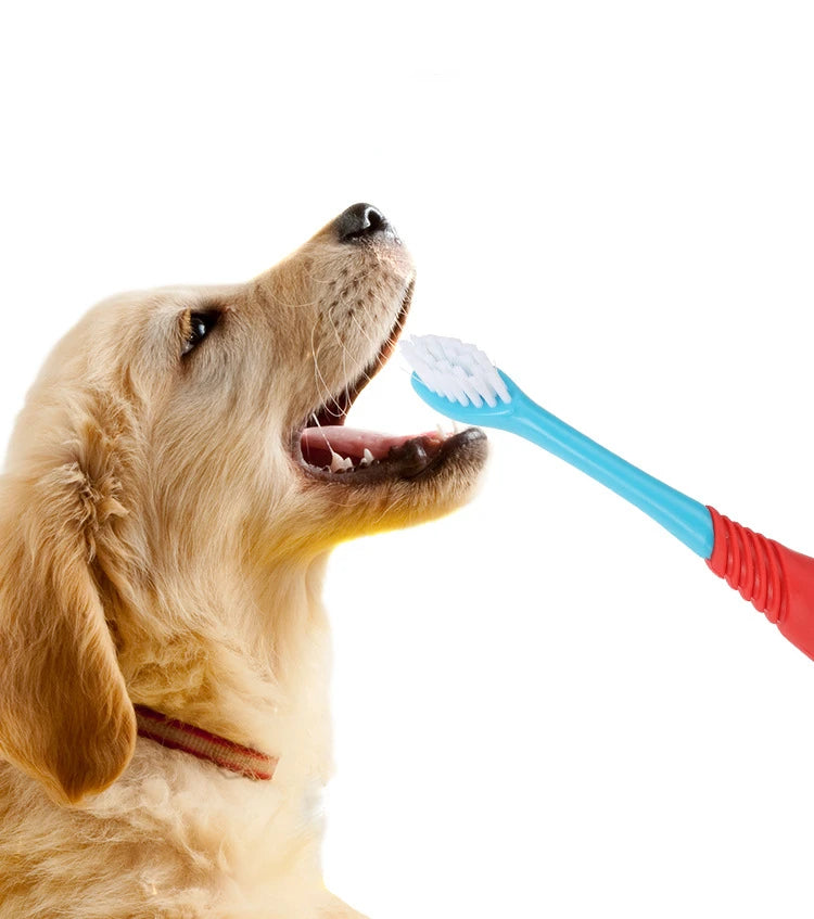 Double Head Dog Toothbrush